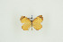  ( - BC-TB9896)  @12 [ ] Copyright (2012) Thierry Bouyer Research Collection of Thierry Bouyer