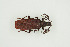  ( - BC-TB9934)  @11 [ ] Copyright (2012) Thierry Bouyer Research Collection of Thierry Bouyer