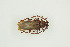  ( - BC-TB9947)  @12 [ ] Copyright (2012) Thierry Bouyer Research Collection of Thierry Bouyer