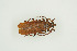  ( - BC-TB9948)  @12 [ ] Copyright (2012) Thierry Bouyer Research Collection of Thierry Bouyer