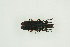  ( - BC-TB9964)  @11 [ ] Copyright (2012) Thierry Bouyer Research Collection of Thierry Bouyer