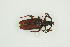  ( - BC-TB9965)  @11 [ ] Copyright (2012) Thierry Bouyer Research Collection of Thierry Bouyer