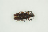  ( - BC-TB9973)  @11 [ ] Copyright (2012) Thierry Bouyer Research Collection of Thierry Bouyer