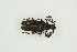  ( - BC-TB9975)  @11 [ ] Copyright (2012) Thierry Bouyer Research Collection of Thierry Bouyer