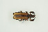  ( - BC-TB9985)  @11 [ ] Copyright (2012) Thierry Bouyer Research Collection of Thierry Bouyer