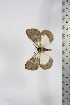  ( - BC-TB5241)  @13 [ ] Copyright (2010) Unspecified Research Collection of Thierry Bouyer