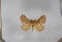  ( - BC-TB5559)  @11 [ ] Copyright (2010) Unspecified Research Collection of Thierry Bouyer