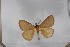  ( - BC-TB5560)  @11 [ ] Copyright (2010) Unspecified Research Collection of Thierry Bouyer