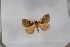  ( - BC-TB5561)  @11 [ ] Copyright (2010) Unspecified Research Collection of Thierry Bouyer