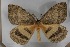  ( - BC-TB5569)  @13 [ ] Copyright (2010) Unspecified Research Collection of Thierry Bouyer
