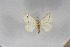  ( - BC-TB5586)  @13 [ ] Copyright (2010) Unspecified Research Collection of Thierry Bouyer