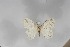  ( - BC-TB5592)  @13 [ ] Copyright (2010) Unspecified Research Collection of Thierry Bouyer