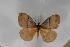  ( - BC-TB5595)  @13 [ ] Copyright (2010) Unspecified Research Collection of Thierry Bouyer