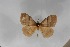  ( - BC-TB5596)  @12 [ ] Copyright (2010) Unspecified Research Collection of Thierry Bouyer