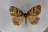  ( - BC-TB5597)  @12 [ ] Copyright (2010) Unspecified Research Collection of Thierry Bouyer