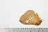  ( - BC-TB2027)  @13 [ ] Copyright (2010) Unspecified Research Collection of Thierry Bouyer