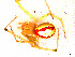  ( - AR8500)  @12 [ ] Copyright (2012) Christian Kropf Natural Historical Museum Bern