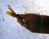  ( - TAB-RO-5-1)  @12 [ ] Unspecified (default): All Rights Reserved  Unspecified Unspecified