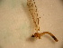  ( - PPDLL-BG-13-01)  @13 [ ] CreativeCommons - Attribution Non-Commercial Share-Alike (2014) Unspecified Univerity Babes-Bolyai, Hungarian Dept. of Biology and Ecology