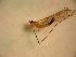  ( - PPDLL-BG-13-02)  @13 [ ] CreativeCommons - Attribution Non-Commercial Share-Alike (2014) Unspecified Univerity Babes-Bolyai, Hungarian Dept. of Biology and Ecology