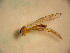  ( - PPDLL-BG-15-03)  @13 [ ] CreativeCommons - Attribution Non-Commercial Share-Alike (2014) Unspecified Univerity Babes-Bolyai, Hungarian Dept. of Biology and Ecology
