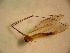  ( - PPDLL-BG-16-02)  @13 [ ] CreativeCommons - Attribution Non-Commercial Share-Alike (2014) Unspecified Univerity Babes-Bolyai, Hungarian Dept. of Biology and Ecology