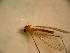  ( - PPDLL-BG-16-03)  @13 [ ] CreativeCommons - Attribution Non-Commercial Share-Alike (2014) Unspecified Univerity Babes-Bolyai, Hungarian Dept. of Biology and Ecology