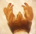  ( - PPDPL-RO-01-02)  @12 [ ] Unspecified (default): All Rights Reserved  Unspecified Unspecified