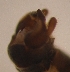  ( - PPDPS-ME-01-02)  @12 [ ] Unspecified (default): All Rights Reserved  Unspecified Unspecified