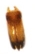  ( - GL-RO-27-03)  @11 [ ] Unspecified (default): All Rights Reserved  Unspecified Unspecified