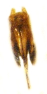  ( - GL-RO-27-19)  @12 [ ] Unspecified (default): All Rights Reserved  Unspecified Unspecified