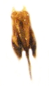  ( - GL-RO-27-23)  @12 [ ] Unspecified (default): All Rights Reserved  Unspecified Unspecified