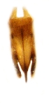  ( - GL-RO-27-28)  @12 [ ] Unspecified (default): All Rights Reserved  Unspecified Unspecified