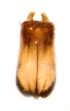  ( - GL-RO-28-14)  @12 [ ] Unspecified (default): All Rights Reserved  Unspecified Unspecified