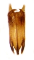  ( - GL-RO-35-01)  @11 [ ] Unspecified (default): All Rights Reserved  Unspecified Unspecified