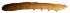  ( - LAP-LT-1-2)  @11 [ ] Unspecified (default): All Rights Reserved  Unspecified Unspecified