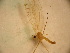  ( - PPDLL-MK-01-01)  @13 [ ] CreativeCommons - Attribution Non-Commercial Share-Alike (2014) Unspecified Univerity Babes-Bolyai, Hungarian Dept. of Biology and Ecology