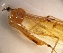  ( - LLMMB-RO-03-01)  @12 [ ] Unspecified (default): All Rights Reserved  Unspecified Unspecified