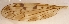  ( - LLMMQ-RO-02-01)  @12 [ ] Unspecified (default): All Rights Reserved  Unspecified Unspecified