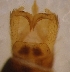  ( - LLMMQ-RO-03-01)  @12 [ ] Unspecified (default): All Rights Reserved  Unspecified Unspecified