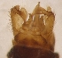  ( - LLMMZ-BG-01-03)  @12 [ ] Unspecified (default): All Rights Reserved  Unspecified Unspecified
