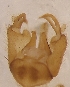  ( - LLMMZ-RO-03-02)  @12 [ ] Unspecified (default): All Rights Reserved  Unspecified Unspecified