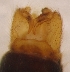  ( - LLMMZ-RO-03-03)  @12 [ ] Unspecified (default): All Rights Reserved  Unspecified Unspecified