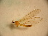  ( - PPDLL-RO-21-04)  @13 [ ] CreativeCommons - Attribution Non-Commercial Share-Alike (2014) Unspecified Univerity Babes-Bolyai, Hungarian Dept. of Biology and Ecology