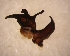  ( - TAB-BG-2-1)  @12 [ ] Unspecified (default): All Rights Reserved  Unspecified Unspecified
