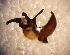  ( - TAB-RO-1-1)  @12 [ ] Unspecified (default): All Rights Reserved  Unspecified Unspecified