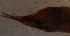  ( - TAB-RO-4-1)  @12 [ ] Unspecified (default): All Rights Reserved  Unspecified Unspecified