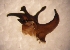  ( - TAB-RO-6-1)  @12 [ ] Unspecified (default): All Rights Reserved  Unspecified Unspecified