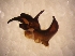  ( - TAB-RO-7-1)  @12 [ ] Unspecified (default): All Rights Reserved  Unspecified Unspecified