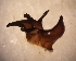  ( - TAB-RO-7-2)  @12 [ ] Unspecified (default): All Rights Reserved  Unspecified Unspecified